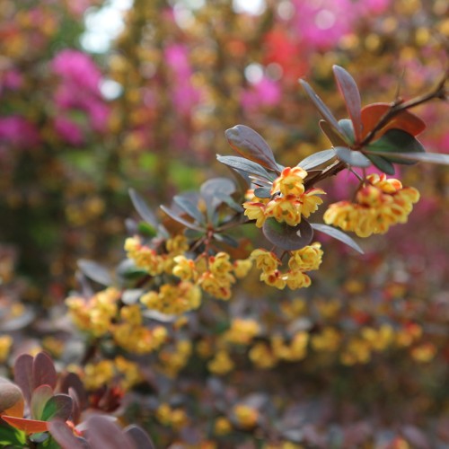 제목 제목 제목 제목 제목 제목 제목 제목